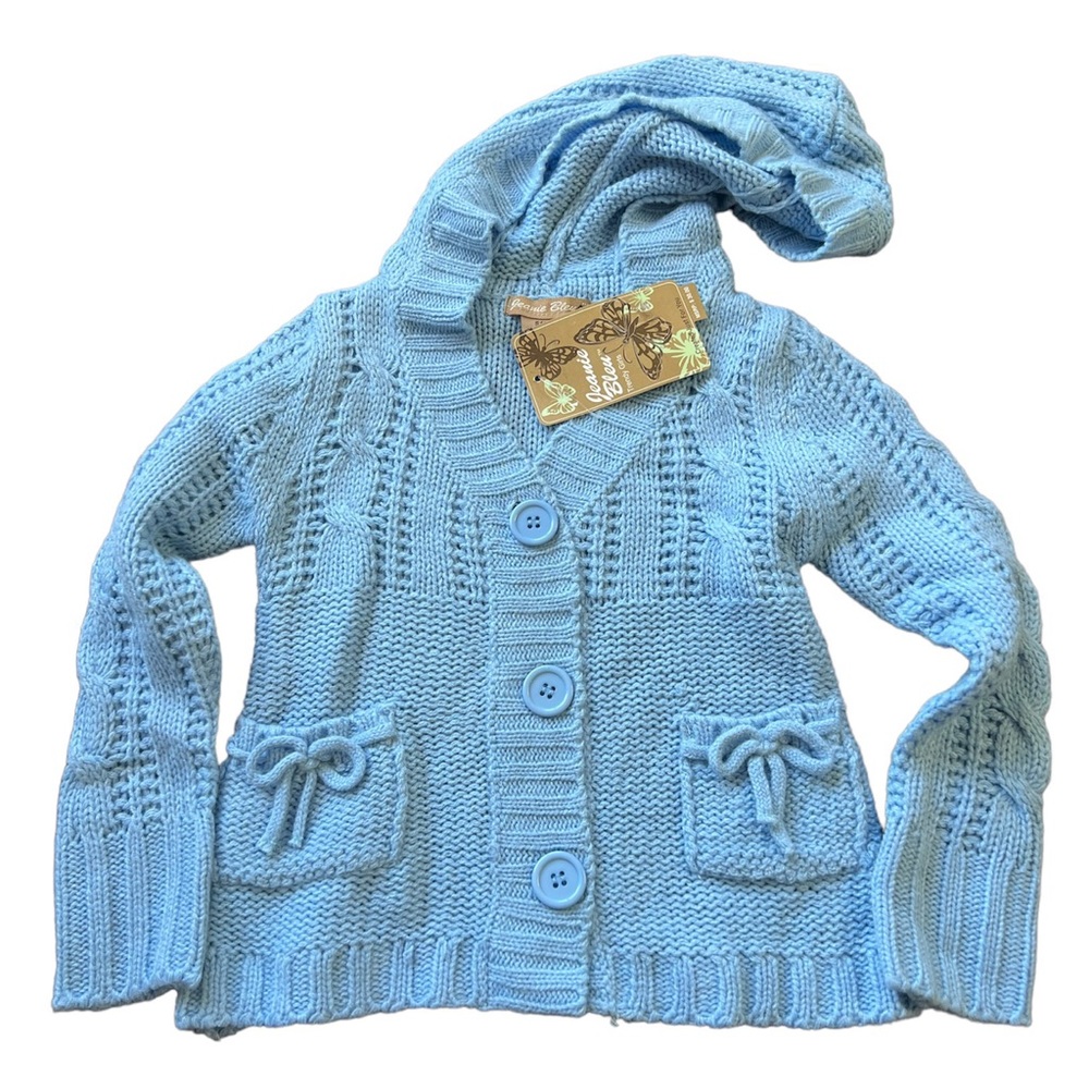 Jeanie Bleu Hooded Sweater